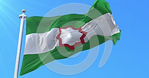 Flag of Andalusian Nationalism. Loop