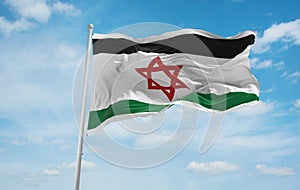 flag of Arab peoples Israeli Arabs at cloudy sky background, panoramic view.flag representing ethnic group or culture, regional