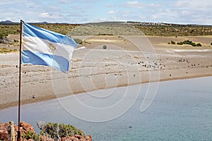 Flag of Argentina at Punta Tombo in the Atlantic Ocean, Patagonia, Argentina