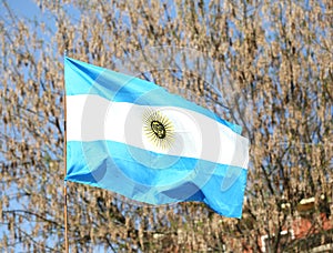 flag of Argentina waving outdoors with trees on background