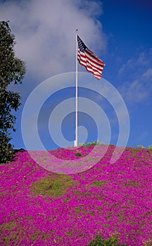 Flag atop purple hill