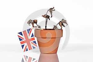 Flag of britain or great britain in a flowerpot with drought flo