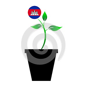 Flag of Cambodia in emoji design growing up as sapling in vase, Cambodia emogi tree flag photo