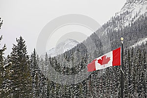 Flag of Canada flying over mountain forest