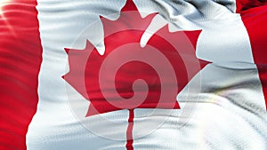 Flag of Canada waving on sun. Seamless loop with highly detailed fabric texture