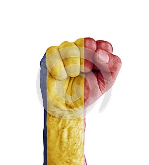 Flag of Chad painted on human fist like victory symbol