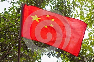 The flag of China against the green leafs