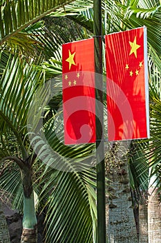 The flag of China against the green leafs of palm trees