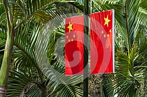 The flag of China against the green leafs of palm trees