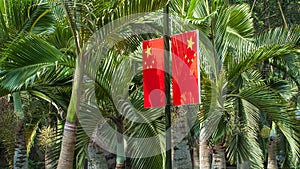 The flag of China against the green leafs of palm trees