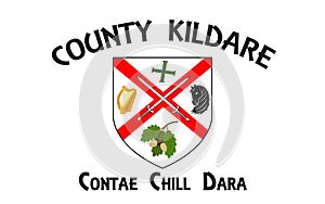 Flag of County Kildare is a county in Ireland