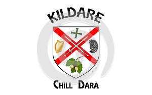 Flag of County Kildare is a county in Ireland