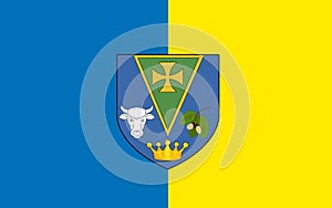 Flag of County Roscommon is a county in Ireland