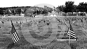 Flag decorations in National Cemetery on Memorial Day
