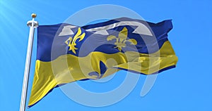 Flag of department of Loir-et-Cher in Centre-Val de Loire, France. 3d rendering