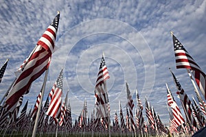 Flag display