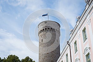 Flag of Estonia - symbol of independence