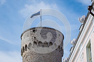 Flag of Estonia - symbol of independence