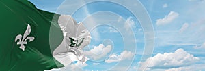 flag of French ancestry Franco-Ontarians at cloudy sky backgroun