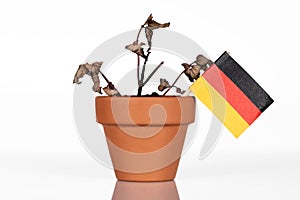 Flag of germany in a flowerpot with drought flower