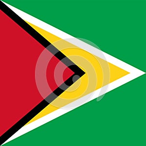 Flag of Guyana. Correct RGB colours