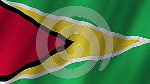 Flag of Guyana footage video. Guyana Flag. Flag of Guyana 4K Animation