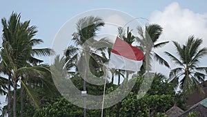 The flag of Indonesia develops on wind against the background of palm trees on the tropical beach