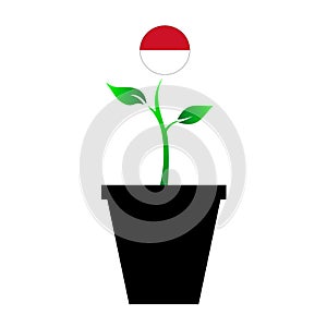 Flag of Indonesia in emoji design growing up as sapling in vase, Indonesian emogi tree flag photo