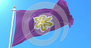 Flag of Kyoto Prefecture japanese, Japan. Loop