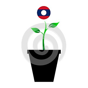 Flag of Laos in emoji design growing up as sapling in vase, Loatian emogi tree flag