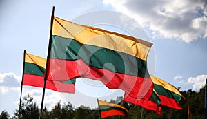 Flag of Lithuania, flying in lawn, tricolor flag