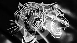 flag in loop of Combined faces of lion and tiger in black background