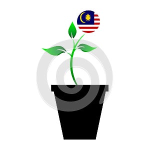 Flag of Malaysia in emoji design growing up as sapling in vase, Malaysian emogi tree flag photo