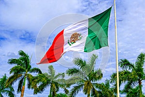 Against the backdrop of palm trees and blue sky Mexico flag.