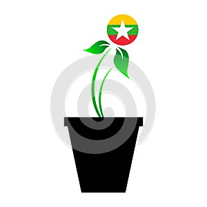 Flag of Myanmar in emoji design growing up as sapling in vase, Buemese emogi tree flag