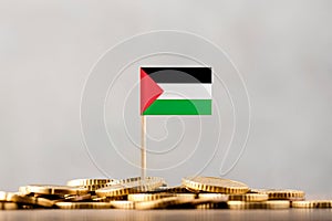 The Flag of Palestine with Coins.