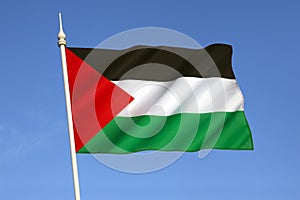 Flag of Palestine - Palestinian Flag photo