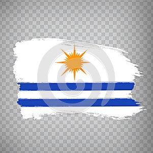 Flag of Palmas city from brush strokes. Federal Republic of Brazil. Flag city Palmas of Tocantins on transparent background photo