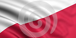 Vlajka z polsko 