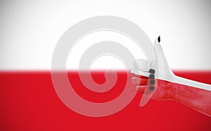 Vlajka z poľsko 