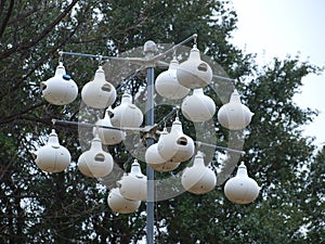 Flag Pole Style Bird Houses in a Yard