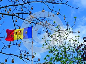Flag of the Principality of Andorra against the sky through the branches of trees