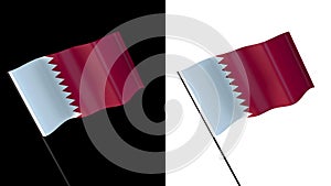 Flag of qatar on white and black backgrounds