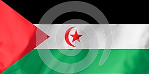Flag of the Saharan Arab Democratic Republic.