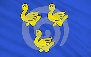 Flag of Sarcelles, France