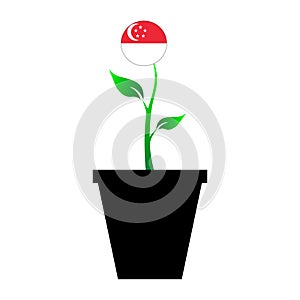 Flag of Singapore in emoji design growing up as sapling in vase, Singaporean emogi tree flag photo