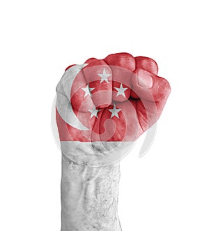 Flag of Singapore painted on human fist like victory symbol