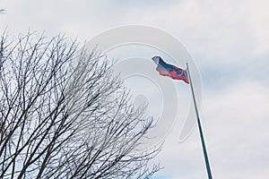 Vlajka Slovenska vlající ve větru