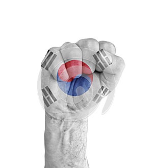 Flag of South Korea painted on human fist like victory symbol