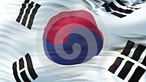 Flag of South Korea waving on sun. Seamless loop with highly detailed fabric texture